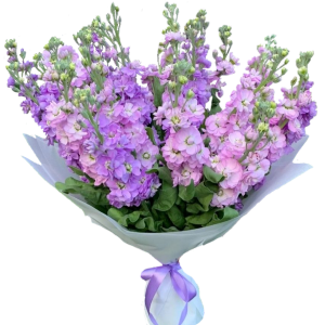 Вершина айсберга 