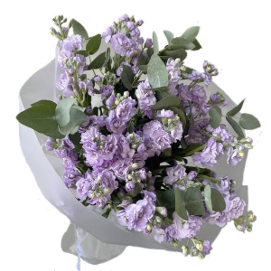 Берега Атлантики