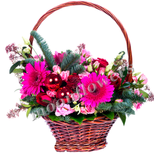 Зимние каникулы
