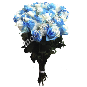 Роза Би-колор сине-белая 1 шт.