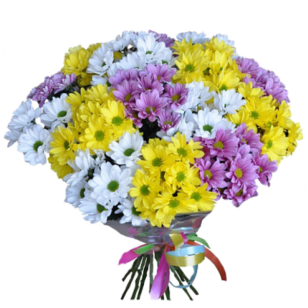 Букет из 15 разноцветных хризантем
