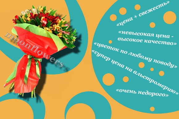 Альстромерия Альстромерия